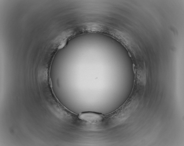 X0000112540401200908171447