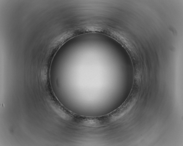 X0000112540402200908171447