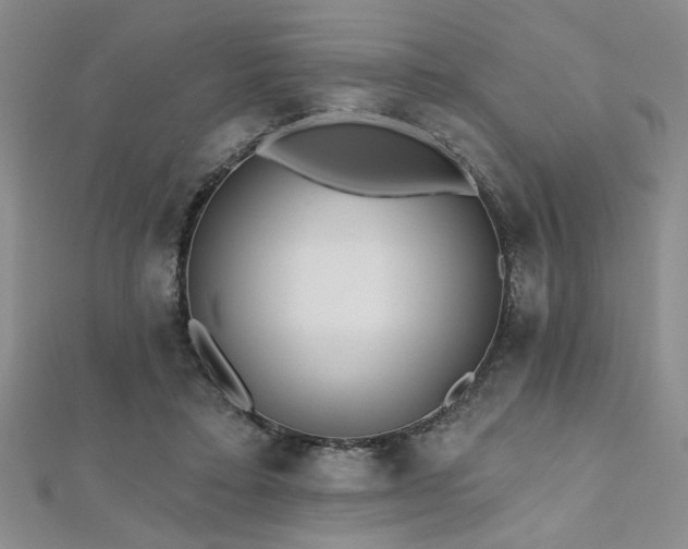 X0000112540403200908171447