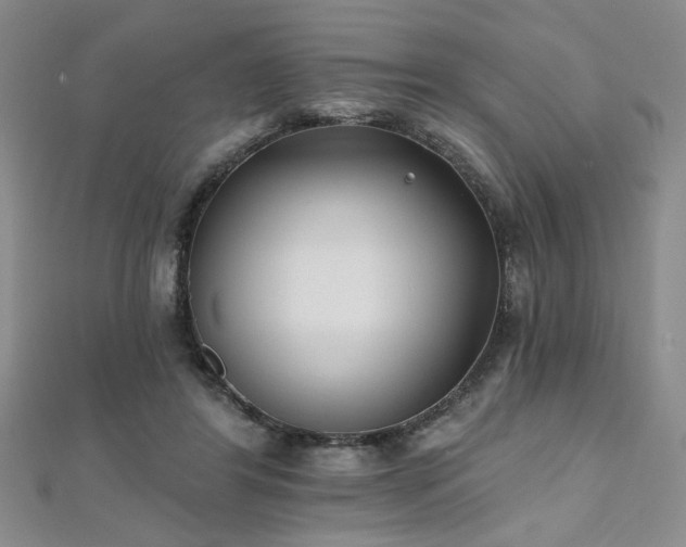X0000112540404200908171447