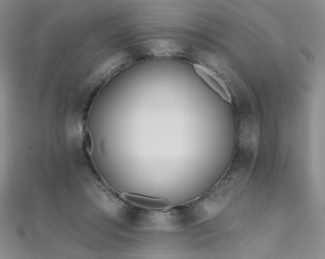 X0000112540405200908171447