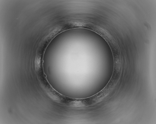 X0000112540406200908171447