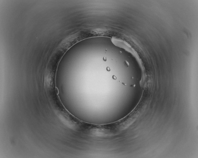 X0000112540408200908171447