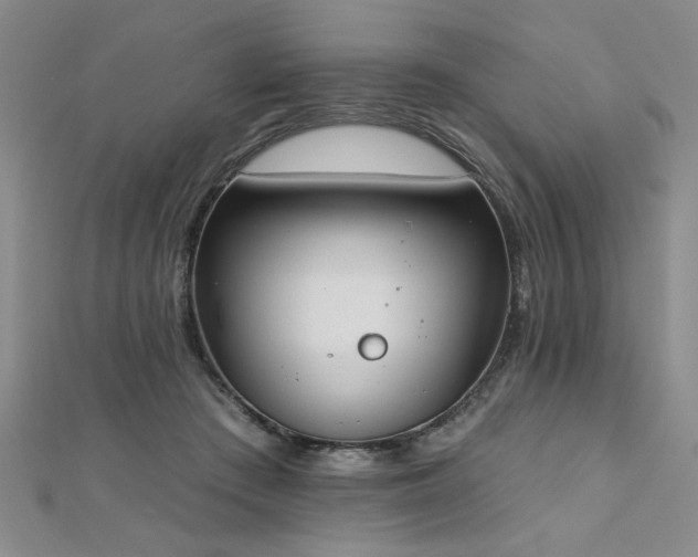 X0000112540409200908171447