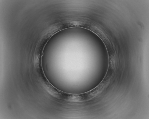 X0000112540410200908171447