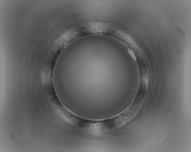 X0000112540411200908171447