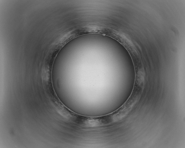 X0000112540413200908171447
