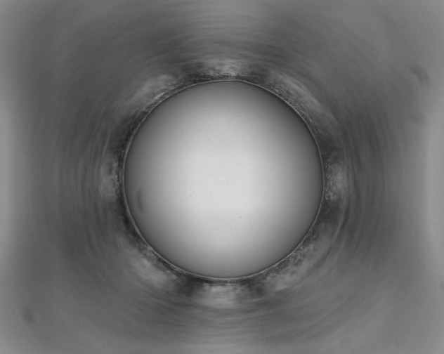 X0000112540414200908171447