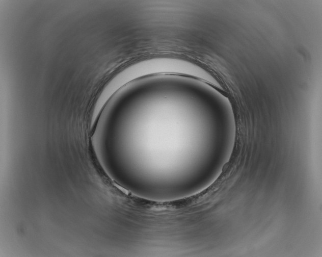 X0000112540415200908171447