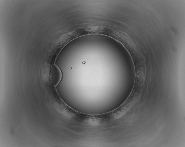X0000112540416200908171447