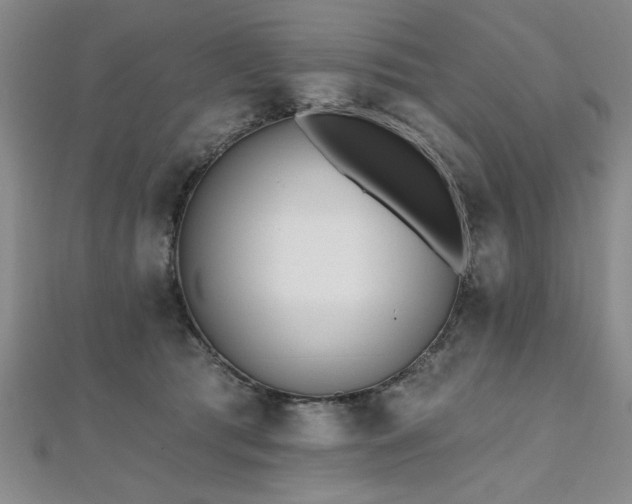 X0000112540417200908171447