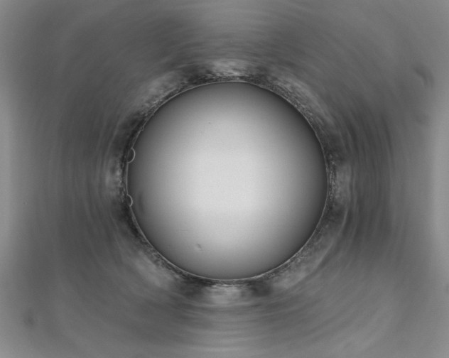 X0000112540418200908171447
