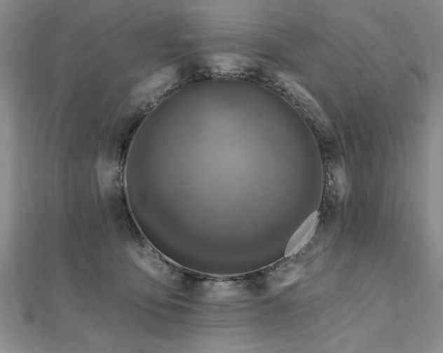 X0000112540419200908171447