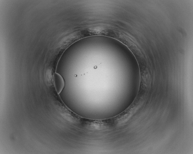 X0000112540420200908171447