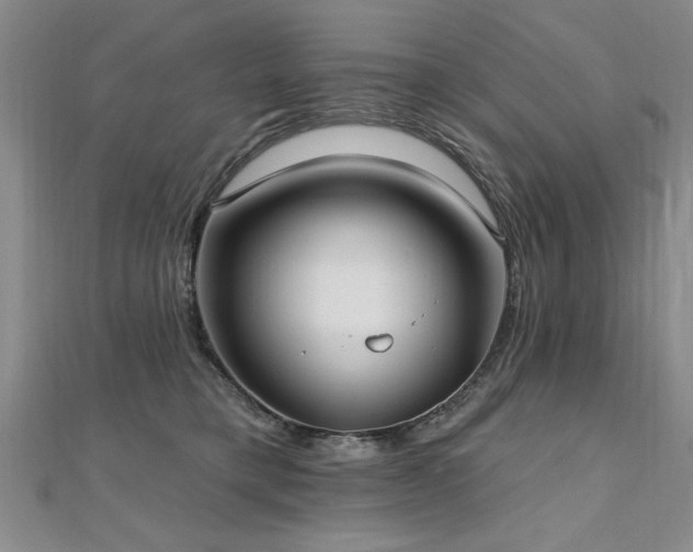 X0000112540421200908171447