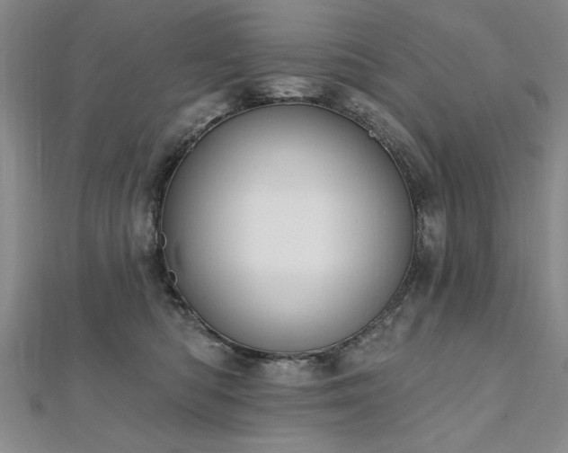 X0000112540422200908171447