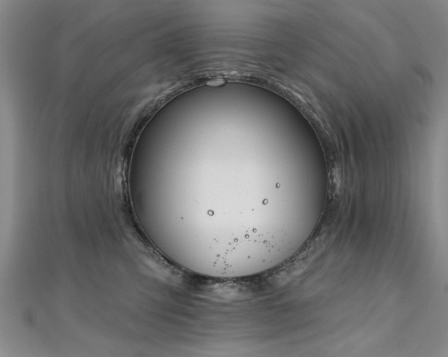 X0000112540423200908171447