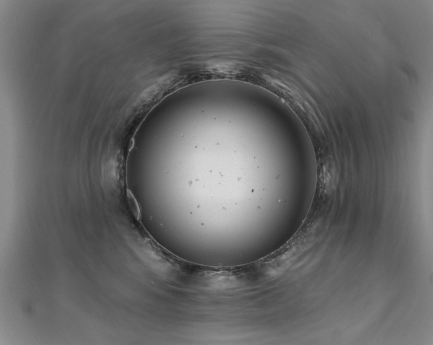 X0000112540424200908171447