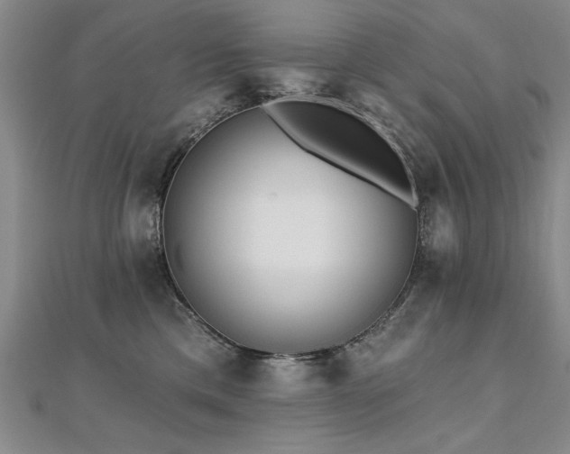 X0000112540425200908171447