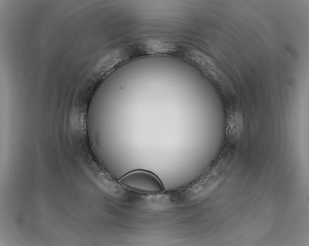 X0000112540426200908171447