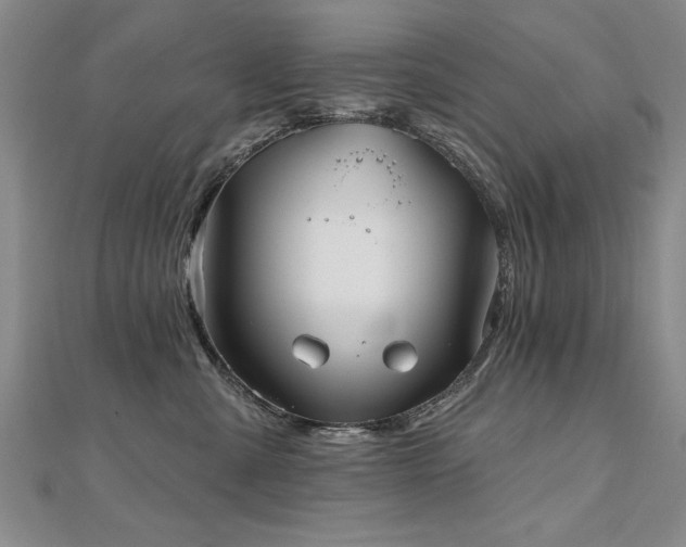X0000112540427200908171447