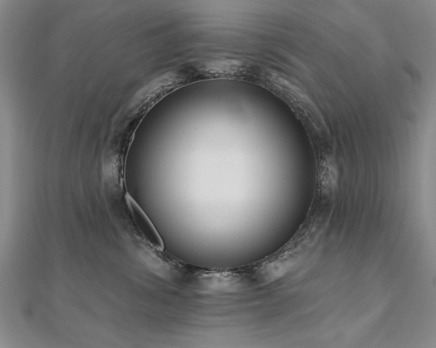 X0000112540428200908171446