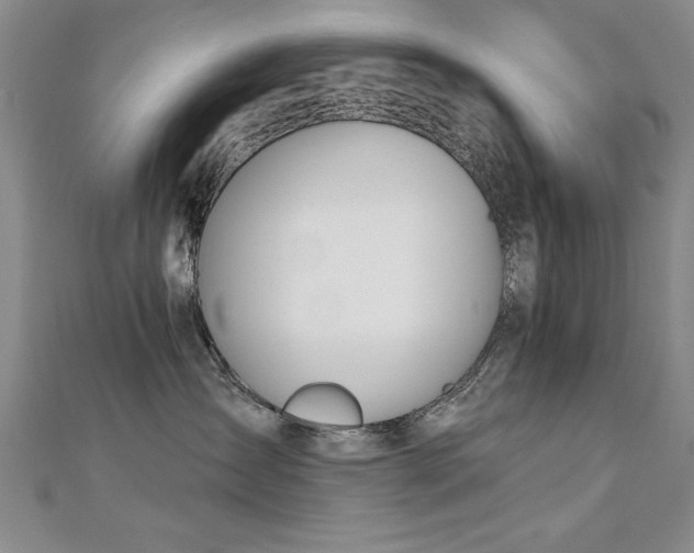 X0000112540431200908171446