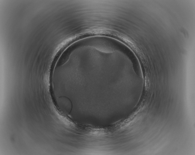 X0000112540438200908171446