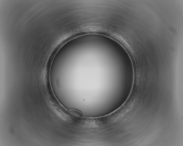 X0000112540439200908171446