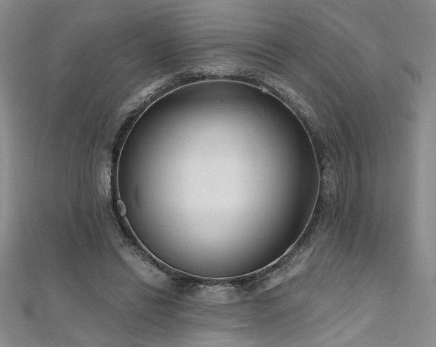 X0000112540446200908171446