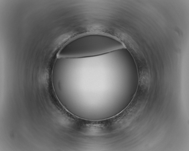 X0000112540448200908171446