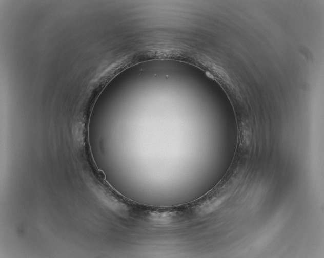 X0000112540450200908171446