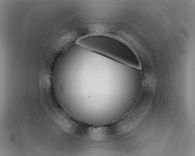 X0000112540452200908171446