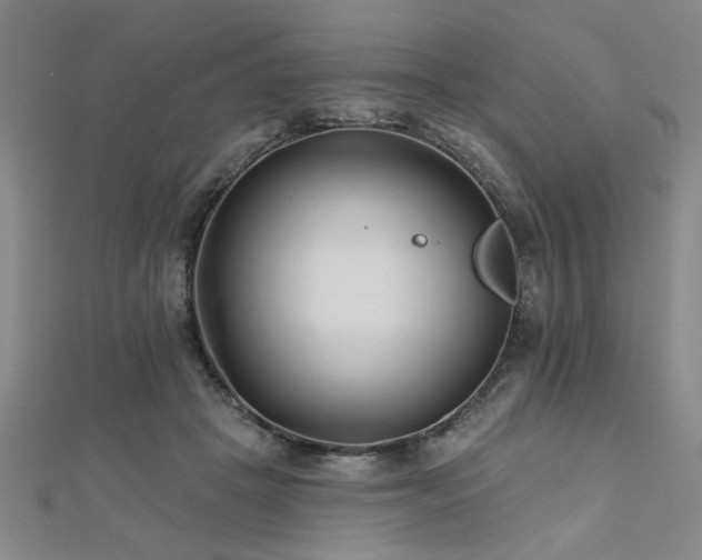 X0000112540457200908171446