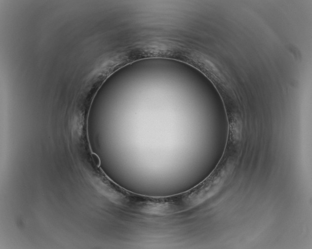 X0000112540458200908171446