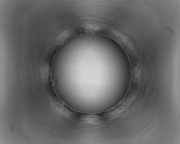 X0000112540463200908171446