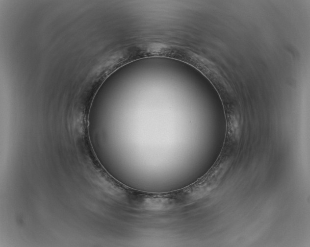 X0000112540470200908171446