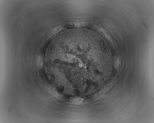 X0000112540471200908171446