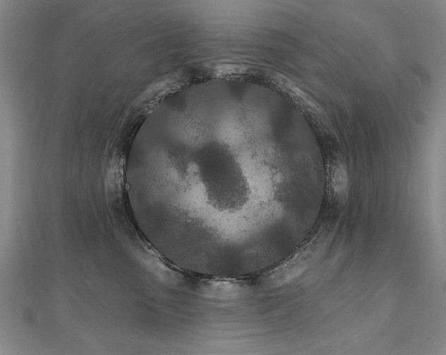 X0000112540475200908171446