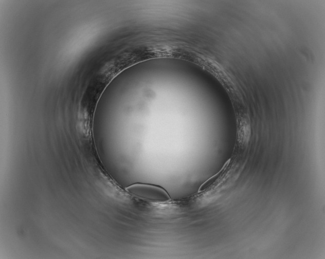 X0000112540477200908171446