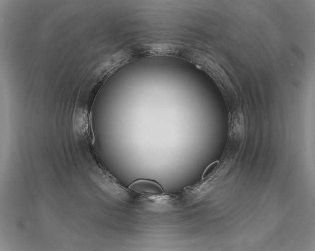 X0000112540478200908171446
