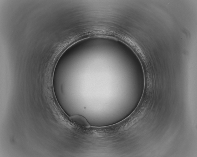X0000112540481200908171446
