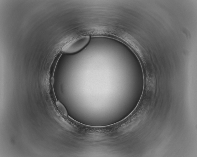 X0000112540485200908171446