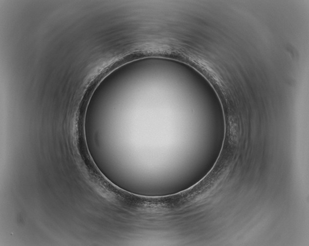 X0000112540487200908171446