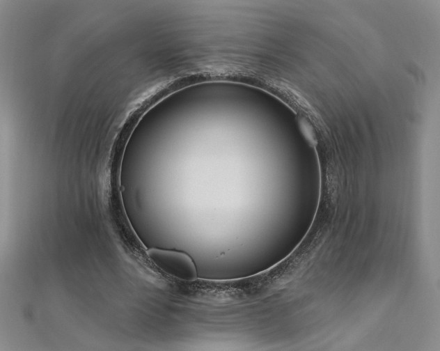 X0000112540488200908171446