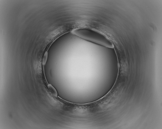 X0000112540489200908171446