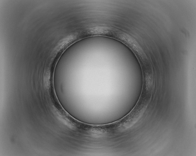 X0000112540490200908171446