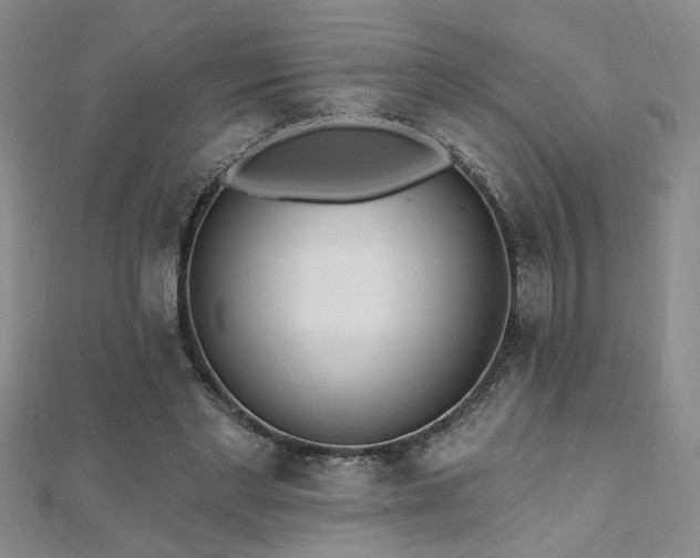 X0000112540493200908171445