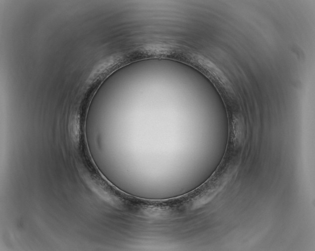 X0000112540494200908171445