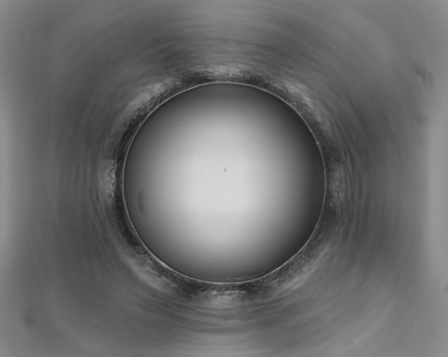X0000112540495200908171445